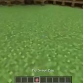 360x360