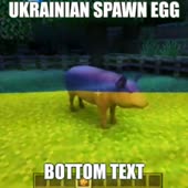 360x360