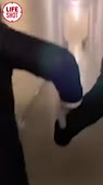368x654