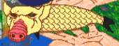 672x262