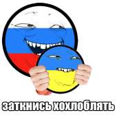 462x455