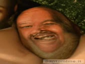320x240