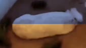 640x360