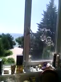 270x360