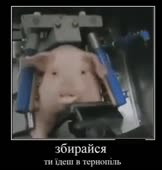352x368