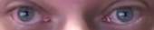 241x48