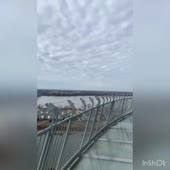 720x720