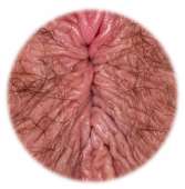 1000x1012