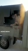 720x1280