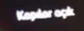 337x125