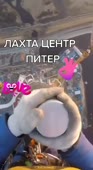 464x848