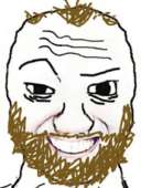 308x407