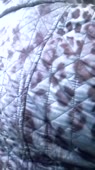 202x360