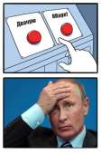 500x756