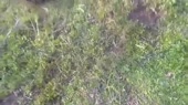 460x258
