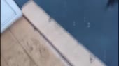 1280x720