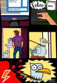 546x800
