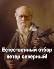 400x504
