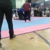 360x360
