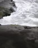 368x460