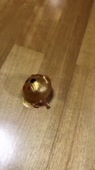 460x816