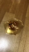 460x816