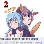 799x799