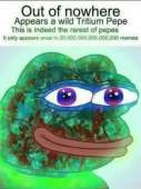 499x667