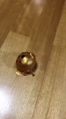 460x816