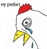 323x336