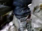 480x360