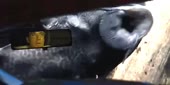 460x230