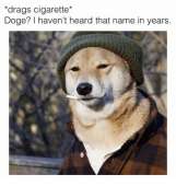 500x527