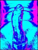 227x300