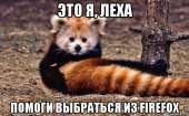 598x371