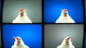 400x225
