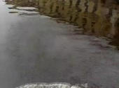480x360