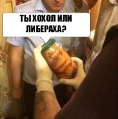 430x435