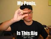 494x381