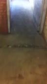 204x360