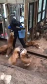 360x640