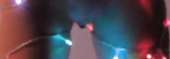 505x177