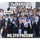 480x480