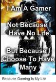 500x733