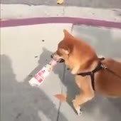 360x360
