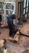 360x640