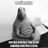 600x600