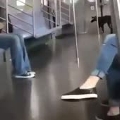 360x360