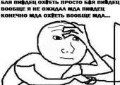 590x423