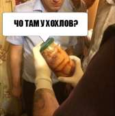 430x435